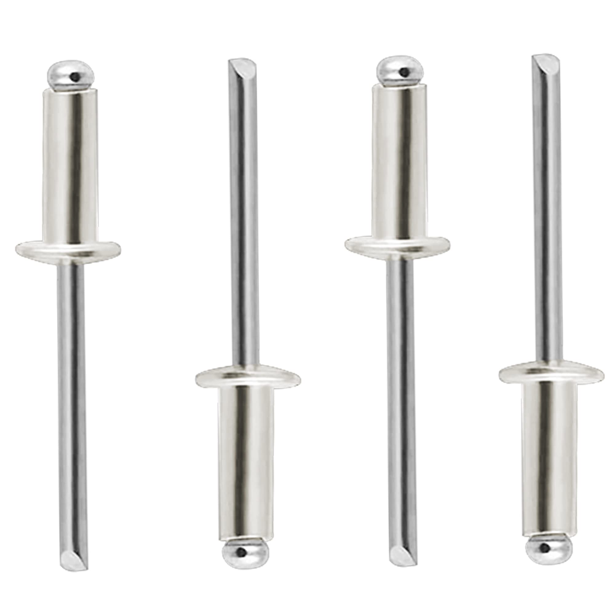 Amazon.com: BOTTEN 100 pcs 1/8